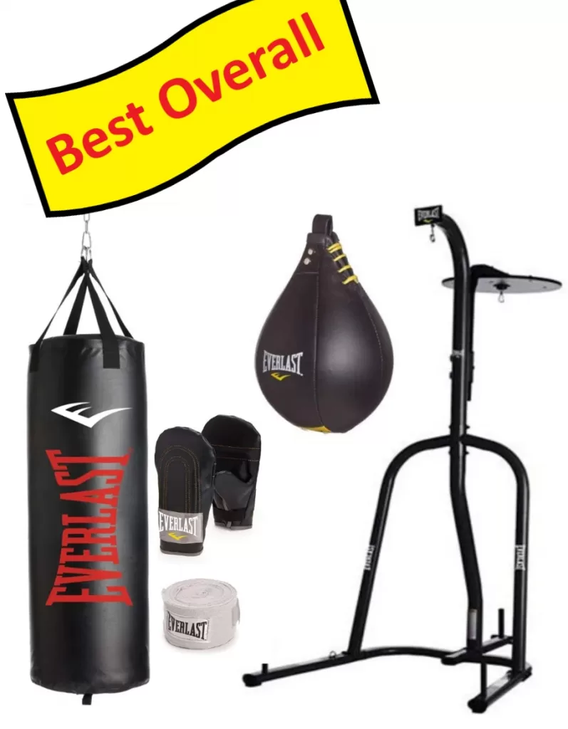 Titan Dual Station Boxing Stand For Speed & Heavy Bag MMA Kick Punching Training