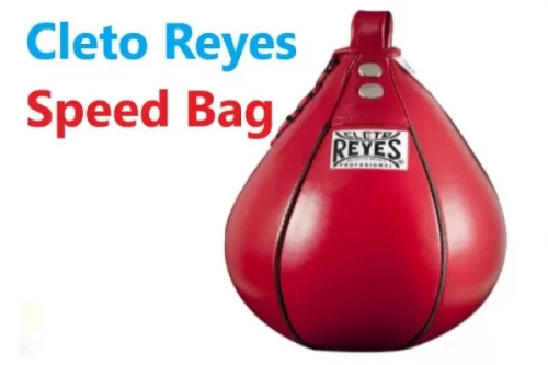 Best speed bag Cleto Reyes