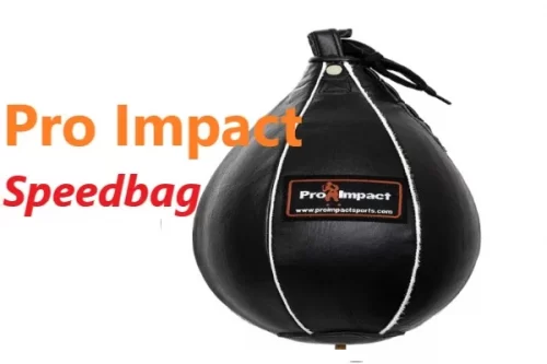 Pro Impact best speed bag