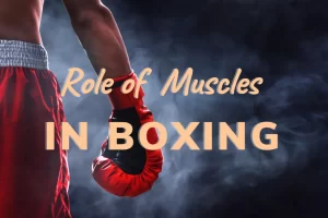 What Muscles Does Boxing Work featured image