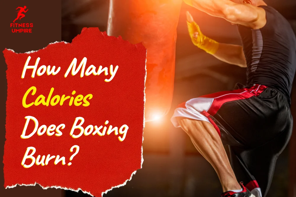 How Many Calories Does Boxing Burn? Why It is Ideal for Fitness?