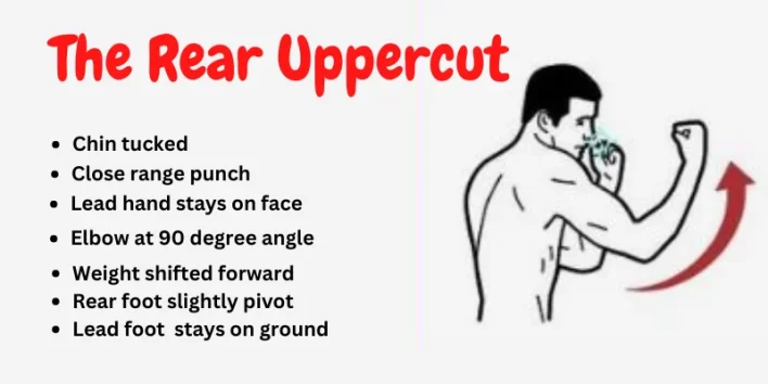 Explaining The Rear Uppercut an essensial part of basic boxing punches and moves.