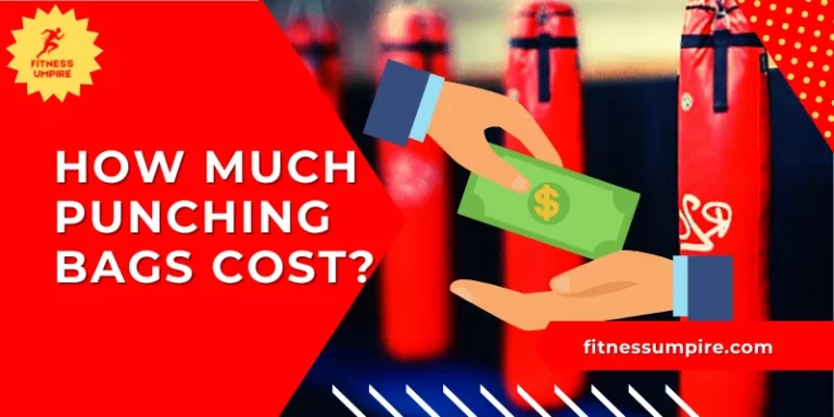 how much punching bags cost
