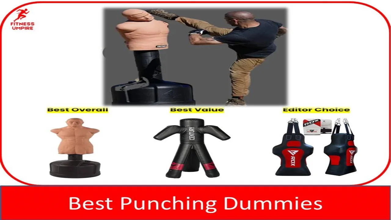 Sparring dummies, MMA, boxing technique practice